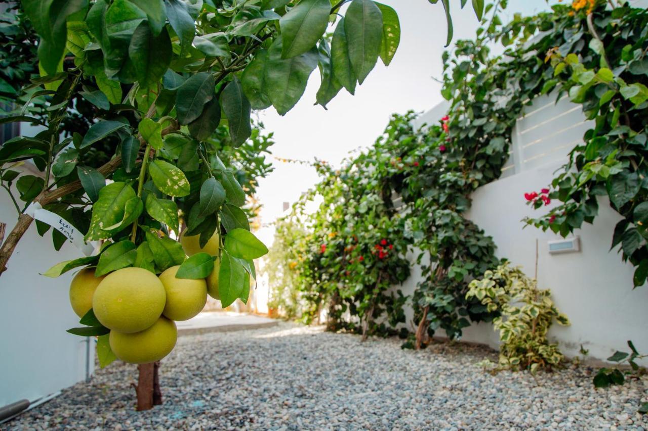 Island Home Seaside Villa باراليمني المظهر الخارجي الصورة
